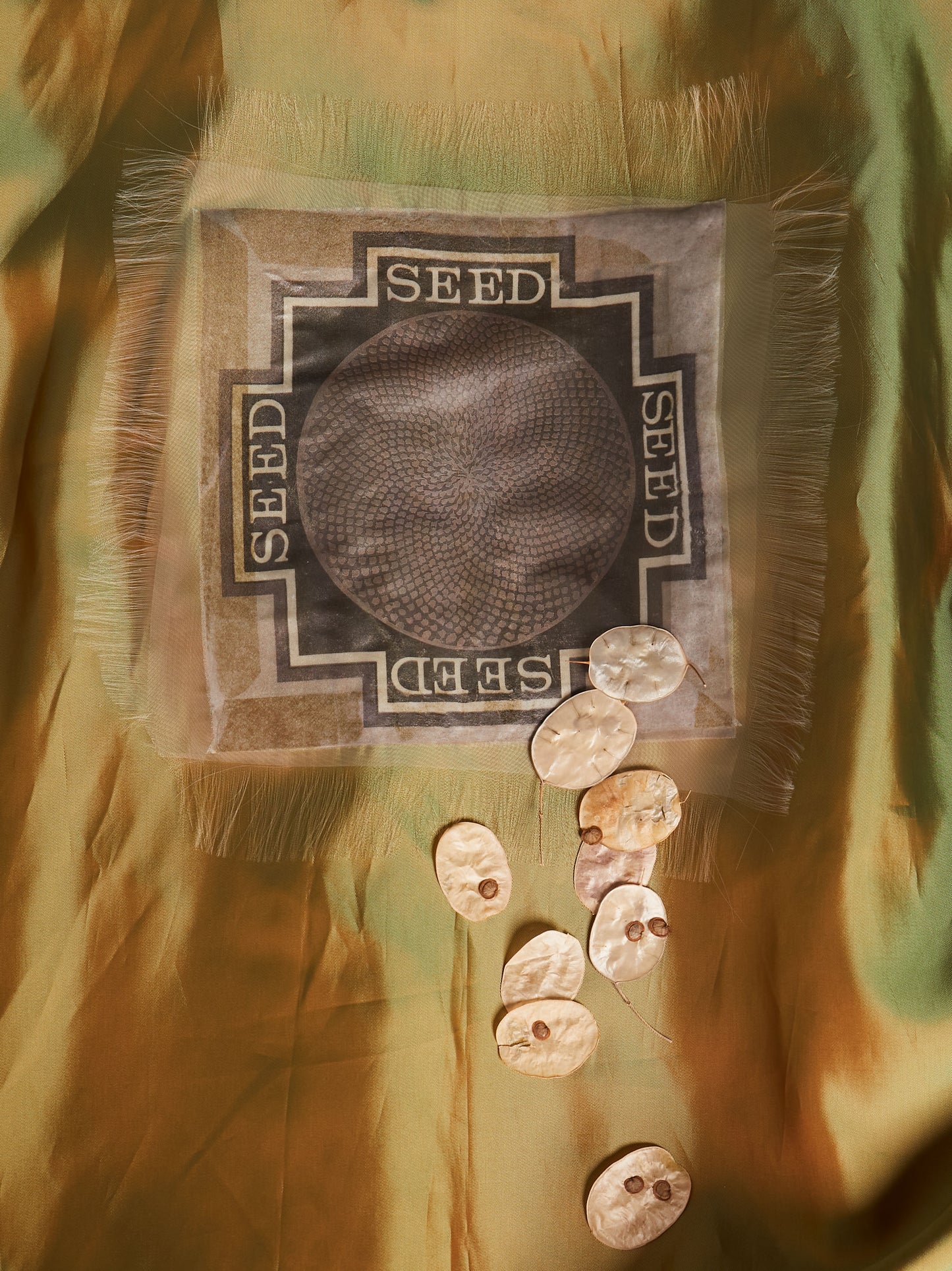 Spring Pollinator Coat